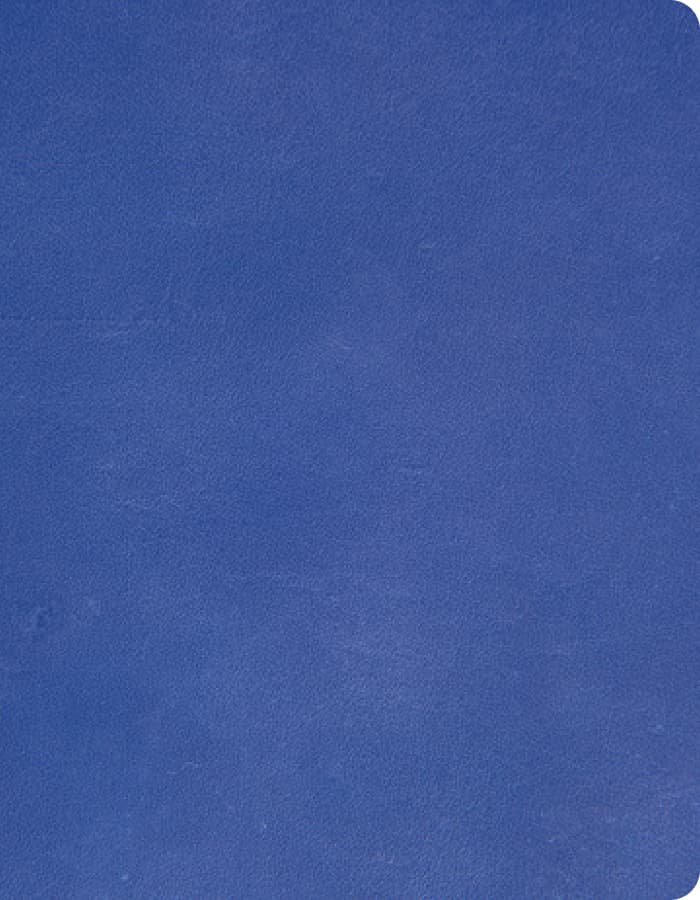 back cover inside